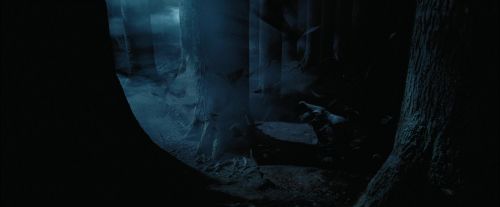 Click to view full size image
==============
PdA-Potterish_7421.jpg PdA-Potterish_7421.jpg