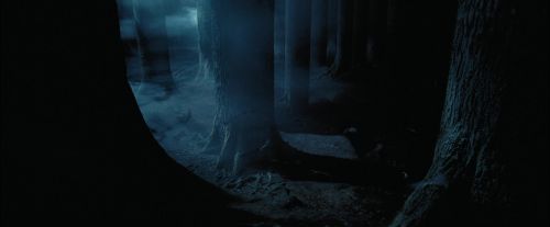 Click to view full size image
==============
PdA-Potterish_7422.jpg PdA-Potterish_7422.jpg