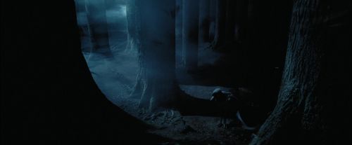 PdA-Potterish_7423.jpg