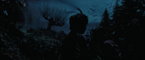 PdA-Potterish_7424.jpg