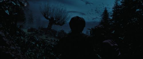 Click to view full size image
==============
PdA-Potterish_7425.jpg PdA-Potterish_7425.jpg