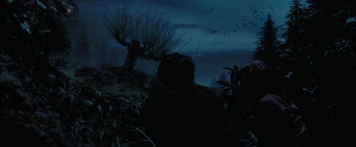 Click to view full size image
==============
PdA-Potterish_7428.jpg PdA-Potterish_7428.jpg