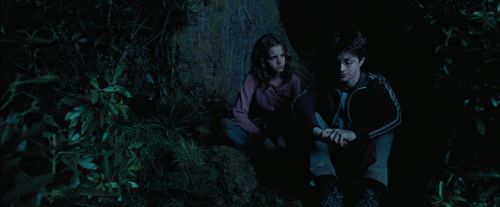 Click to view full size image
==============
PdA-Potterish_7430.jpg PdA-Potterish_7430.jpg
