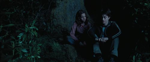 Click to view full size image
==============
PdA-Potterish_7431.jpg PdA-Potterish_7431.jpg