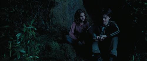 Click to view full size image
==============
PdA-Potterish_7432.jpg PdA-Potterish_7432.jpg