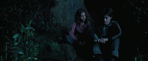 PdA-Potterish_7433.jpg
