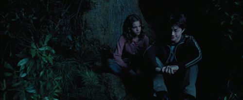 PdA-Potterish_7434.jpg