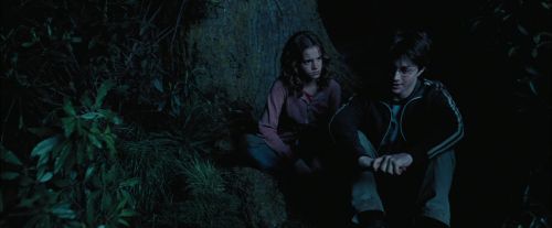 PdA-Potterish_7435.jpg