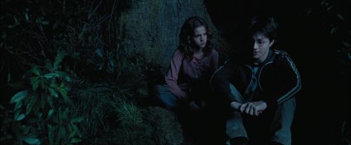 Click to view full size image
==============
PdA-Potterish_7437.jpg PdA-Potterish_7437.jpg