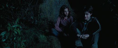 Click to view full size image
==============
PdA-Potterish_7438.jpg PdA-Potterish_7438.jpg