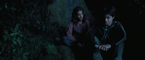 PdA-Potterish_7440.jpg
