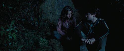 PdA-Potterish_7441.jpg