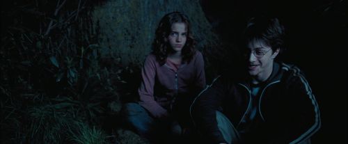 PdA-Potterish_7450.jpg