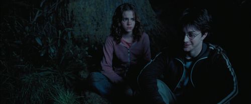 PdA-Potterish_7452.jpg