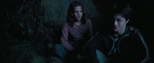 Click to view full size image
==============
PdA-Potterish_7454.jpg PdA-Potterish_7454.jpg
