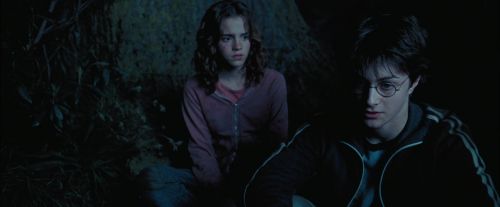 PdA-Potterish_7460.jpg