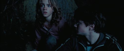 PdA-Potterish_7467.jpg