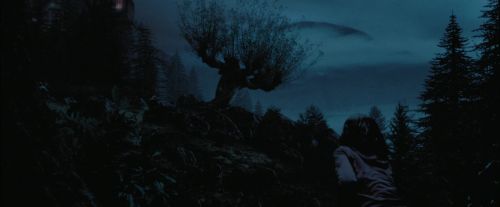 Click to view full size image
==============
PdA-Potterish_7468.jpg PdA-Potterish_7468.jpg