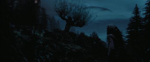 Click to view full size image
==============
PdA-Potterish_7469.jpg PdA-Potterish_7469.jpg