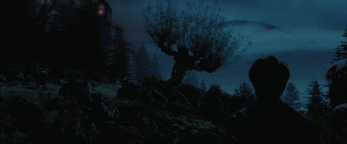 PdA-Potterish_7475.jpg