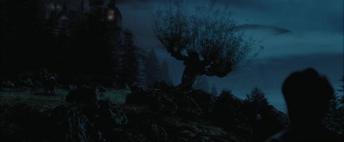 PdA-Potterish_7477.jpg