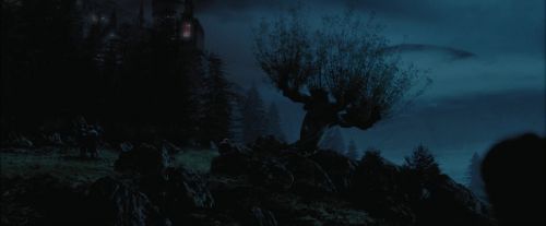 Click to view full size image
==============
PdA-Potterish_7478.jpg PdA-Potterish_7478.jpg