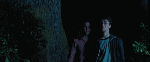 PdA-Potterish_7479.jpg