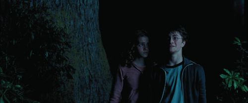 PdA-Potterish_7481.jpg
