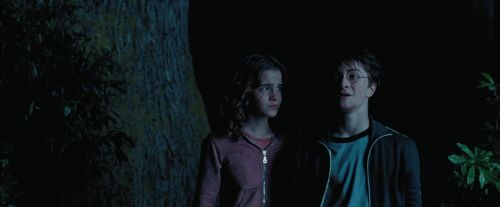 PdA-Potterish_7485.jpg