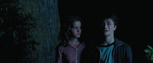 PdA-Potterish_7489.jpg
