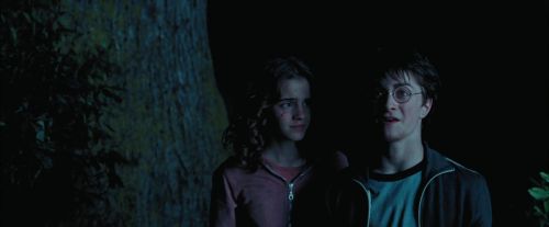PdA-Potterish_7491.jpg