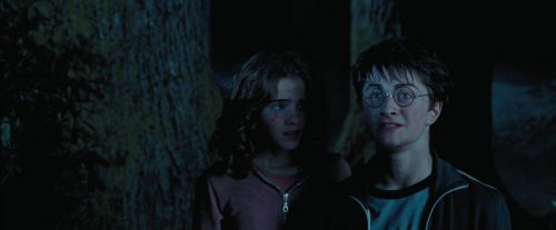 Click to view full size image
==============
PdA-Potterish_7494.jpg PdA-Potterish_7494.jpg