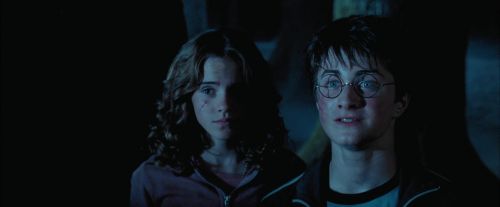 Click to view full size image
==============
PdA-Potterish_7496.jpg PdA-Potterish_7496.jpg