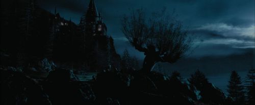 Click to view full size image
==============
PdA-Potterish_7502.jpg PdA-Potterish_7502.jpg