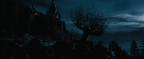 Click to view full size image
==============
PdA-Potterish_7503.jpg PdA-Potterish_7503.jpg