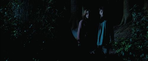 PdA-Potterish_7506.jpg