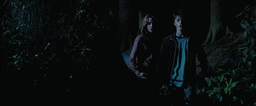 PdA-Potterish_7507.jpg