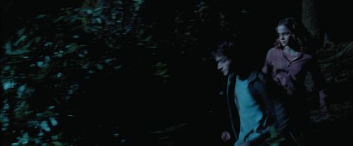 PdA-Potterish_7508.jpg