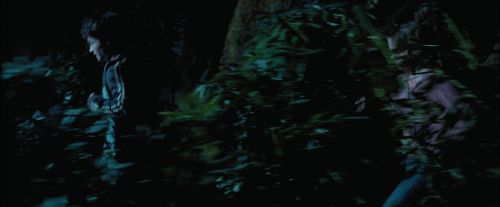 PdA-Potterish_7509.jpg