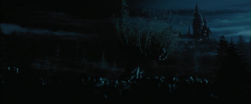 PdA-Potterish_7514.jpg
