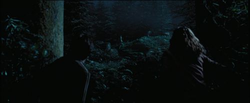PdA-Potterish_7519.jpg