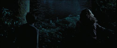 PdA-Potterish_7520.jpg