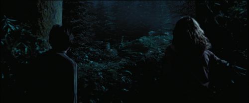 PdA-Potterish_7521.jpg