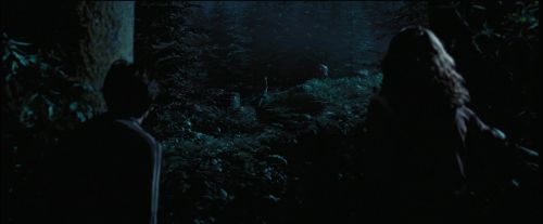 Click to view full size image
==============
PdA-Potterish_7522.jpg PdA-Potterish_7522.jpg