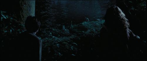 Click to view full size image
==============
PdA-Potterish_7523.jpg PdA-Potterish_7523.jpg
