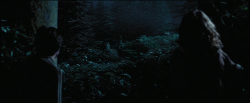 Click to view full size image
==============
PdA-Potterish_7524.jpg PdA-Potterish_7524.jpg