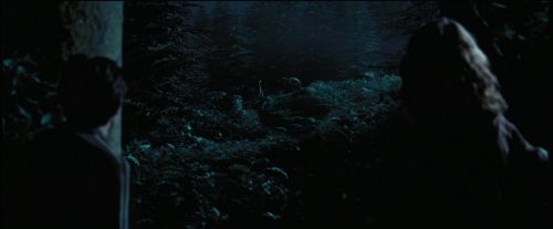 Click to view full size image
==============
PdA-Potterish_7525.jpg PdA-Potterish_7525.jpg