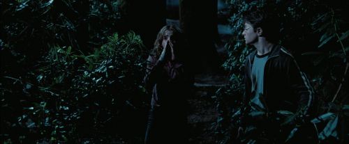 Click to view full size image
==============
PdA-Potterish_7527.jpg PdA-Potterish_7527.jpg