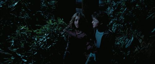 PdA-Potterish_7530.jpg