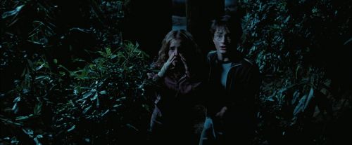 PdA-Potterish_7531.jpg